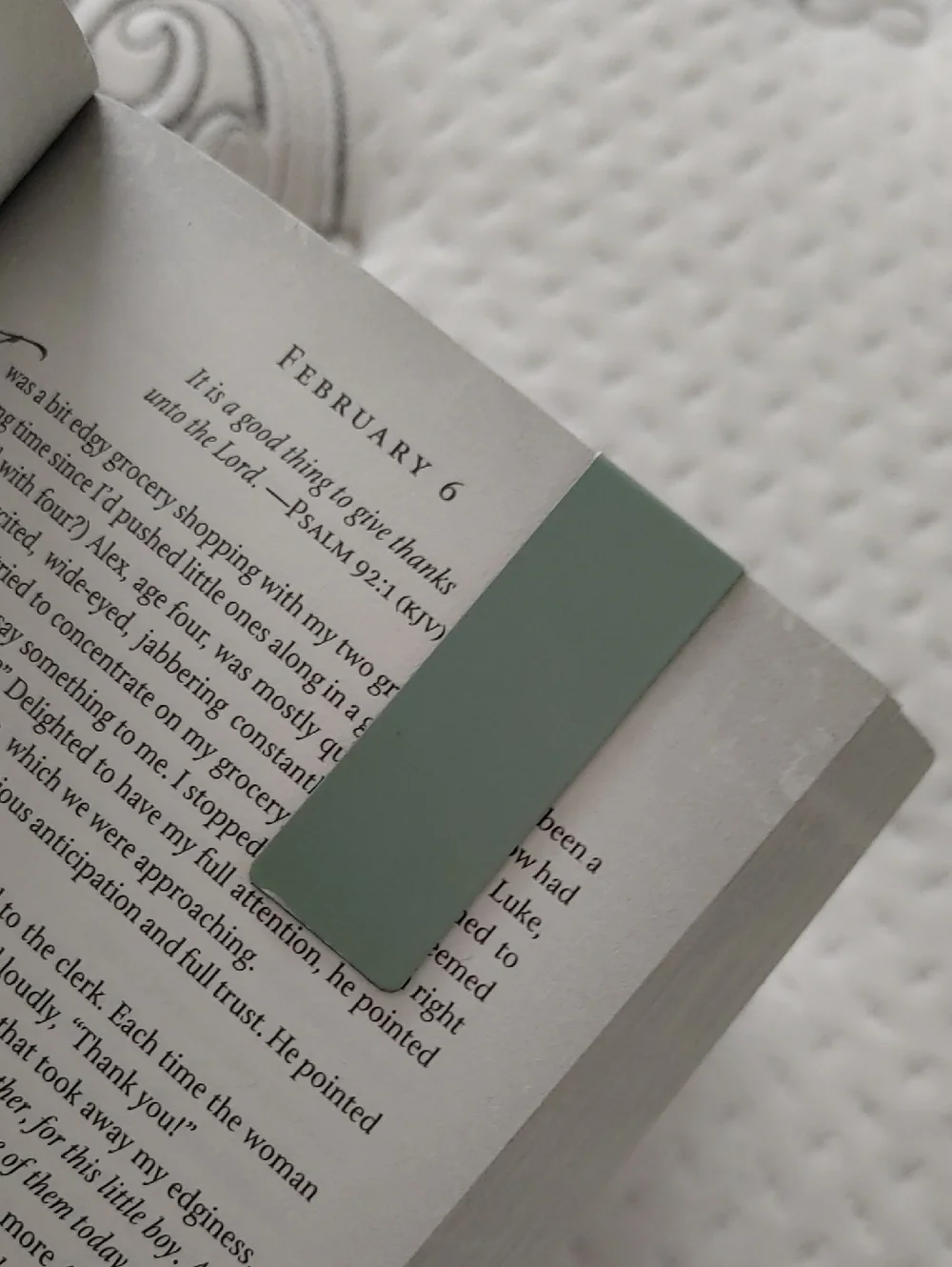 Magnetic Bookmark Set of 6